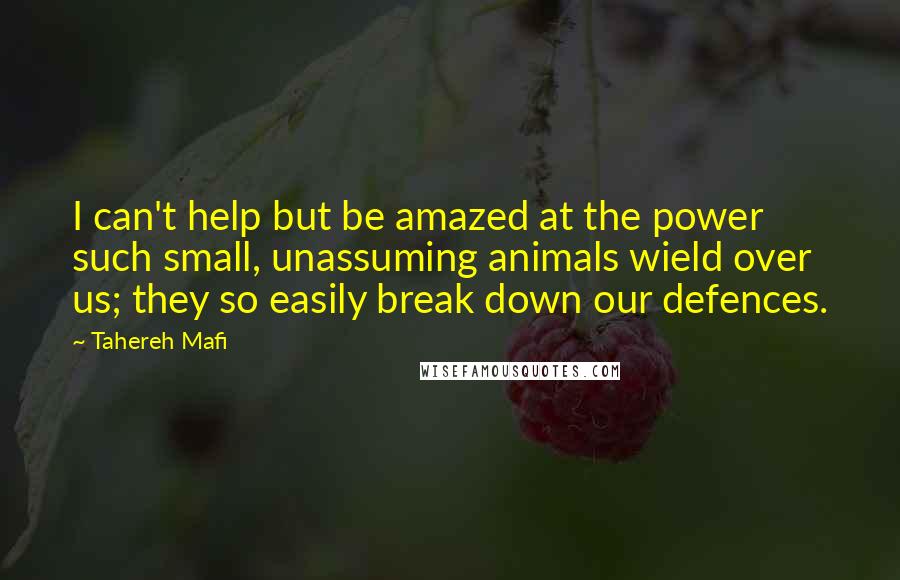 Tahereh Mafi Quotes: I can't help but be amazed at the power such small, unassuming animals wield over us; they so easily break down our defences.