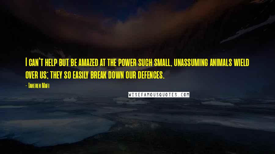 Tahereh Mafi Quotes: I can't help but be amazed at the power such small, unassuming animals wield over us; they so easily break down our defences.