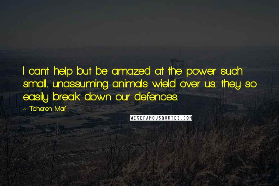 Tahereh Mafi Quotes: I can't help but be amazed at the power such small, unassuming animals wield over us; they so easily break down our defences.