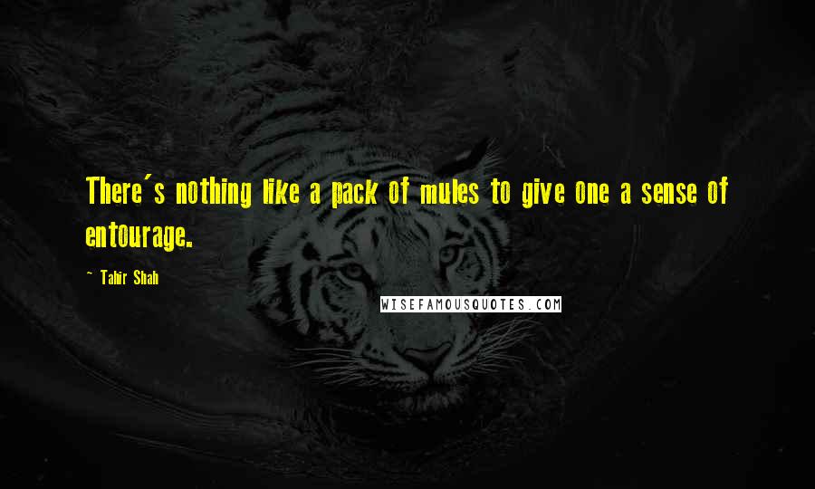 Tahir Shah Quotes: There's nothing like a pack of mules to give one a sense of entourage.