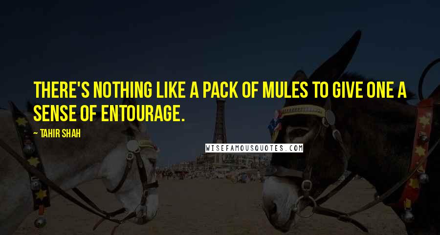 Tahir Shah Quotes: There's nothing like a pack of mules to give one a sense of entourage.