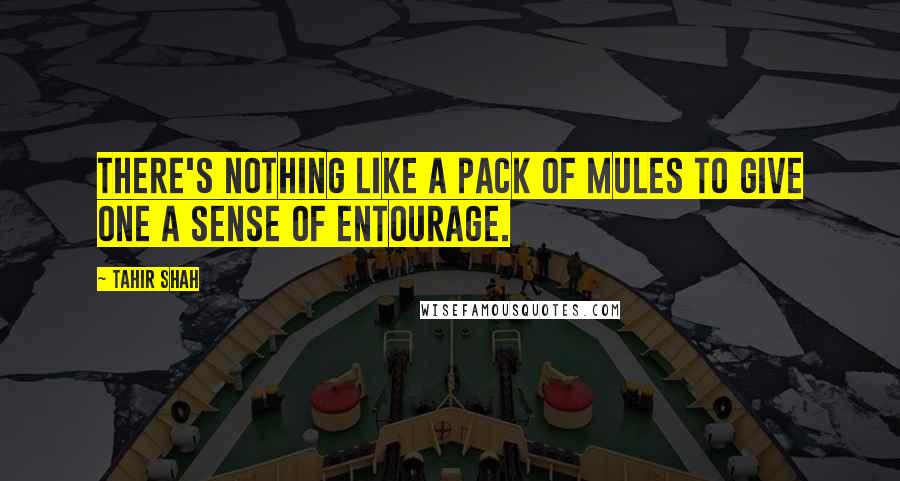 Tahir Shah Quotes: There's nothing like a pack of mules to give one a sense of entourage.