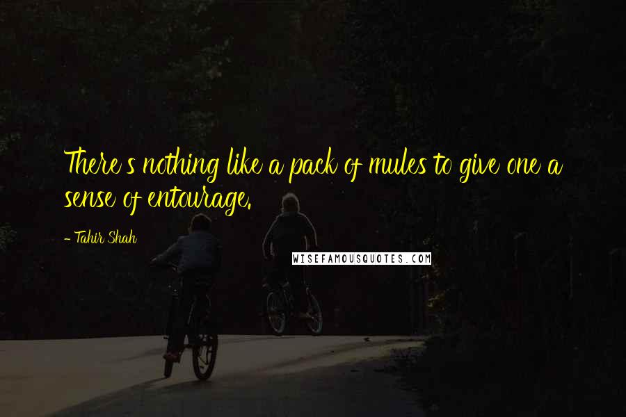 Tahir Shah Quotes: There's nothing like a pack of mules to give one a sense of entourage.