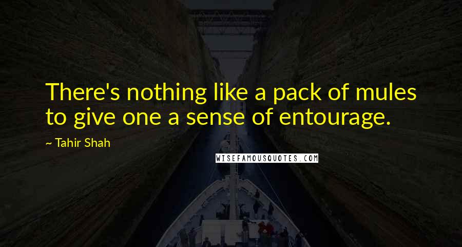 Tahir Shah Quotes: There's nothing like a pack of mules to give one a sense of entourage.