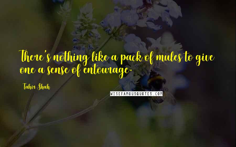 Tahir Shah Quotes: There's nothing like a pack of mules to give one a sense of entourage.