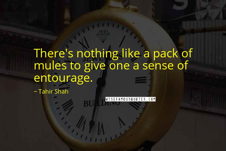 Tahir Shah Quotes: There's nothing like a pack of mules to give one a sense of entourage.