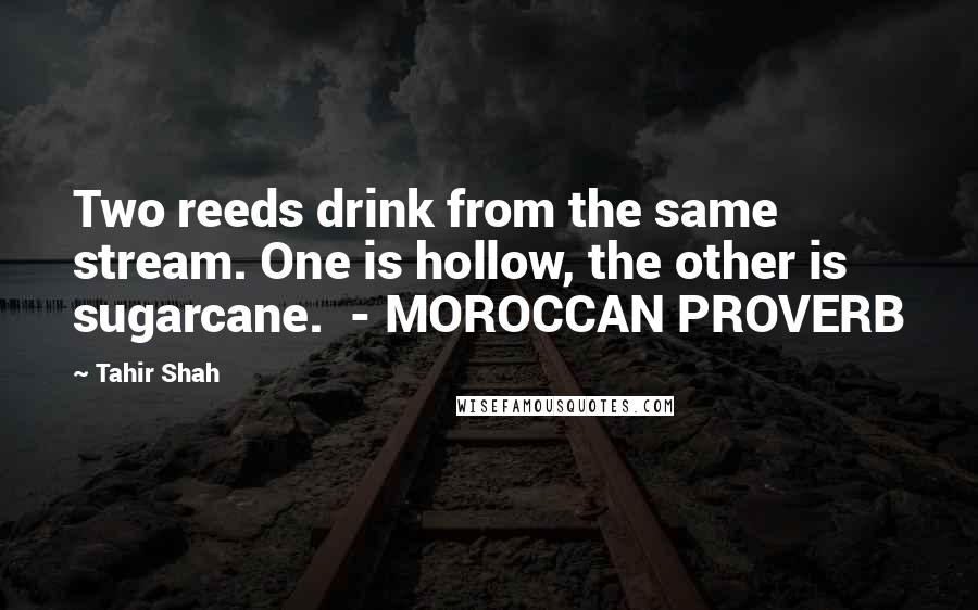 Tahir Shah Quotes: Two reeds drink from the same stream. One is hollow, the other is sugarcane.  - MOROCCAN PROVERB