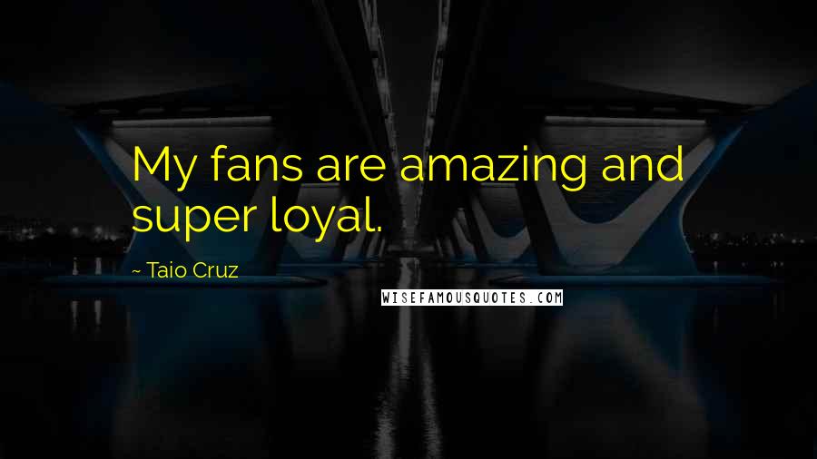 Taio Cruz Quotes: My fans are amazing and super loyal.