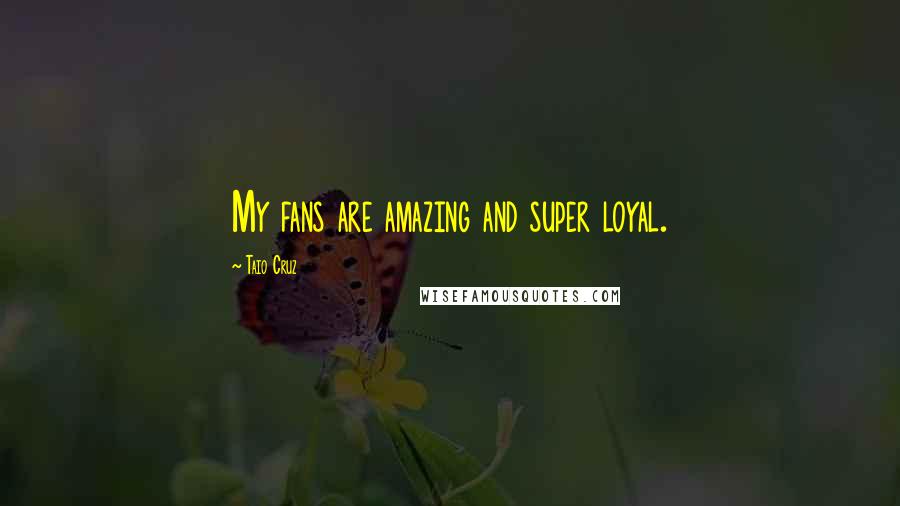 Taio Cruz Quotes: My fans are amazing and super loyal.