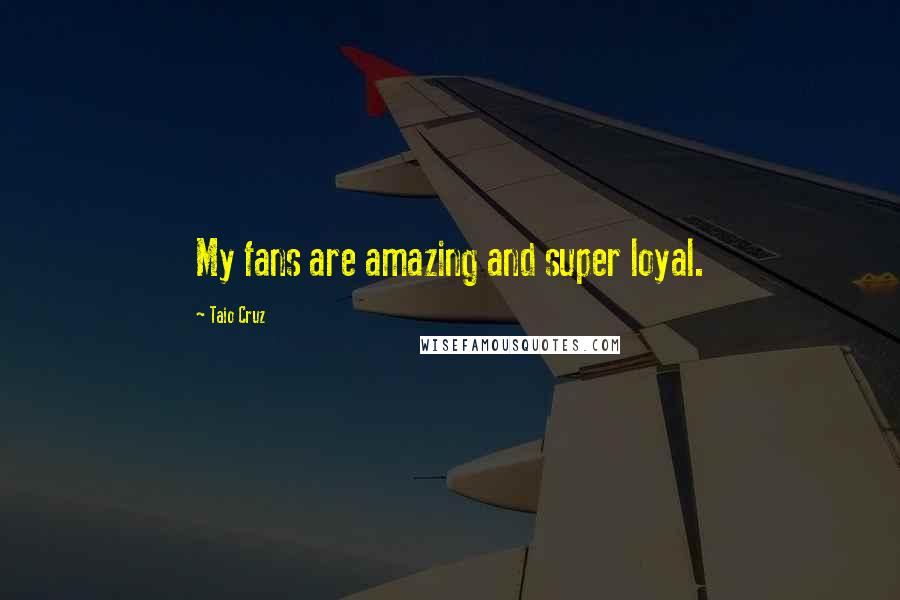 Taio Cruz Quotes: My fans are amazing and super loyal.