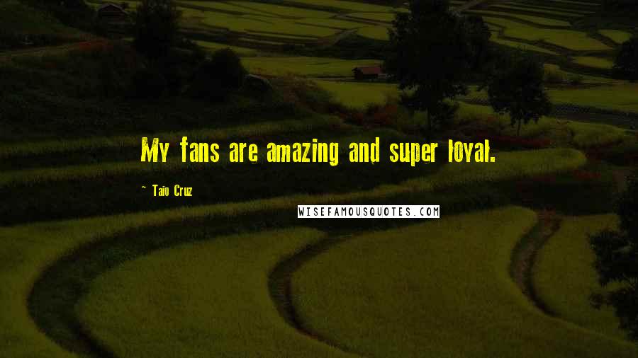 Taio Cruz Quotes: My fans are amazing and super loyal.