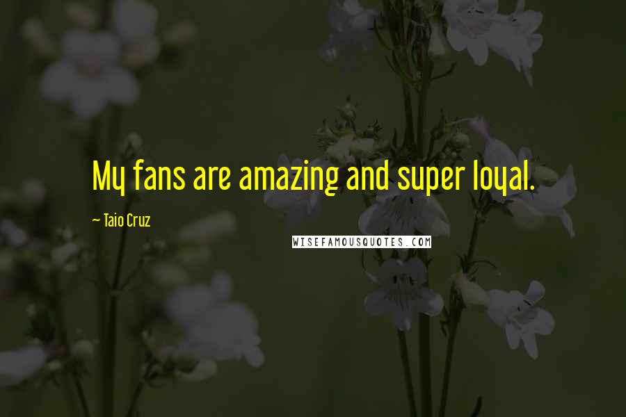 Taio Cruz Quotes: My fans are amazing and super loyal.