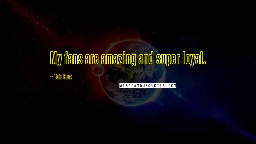 Taio Cruz Quotes: My fans are amazing and super loyal.