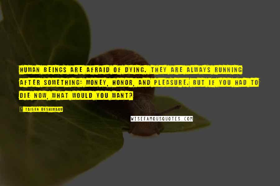 Taisen Deshimaru Quotes: Human beings are afraid of dying. They are always running after something: money, honor, and pleasure. But if you had to die now, what would you want?