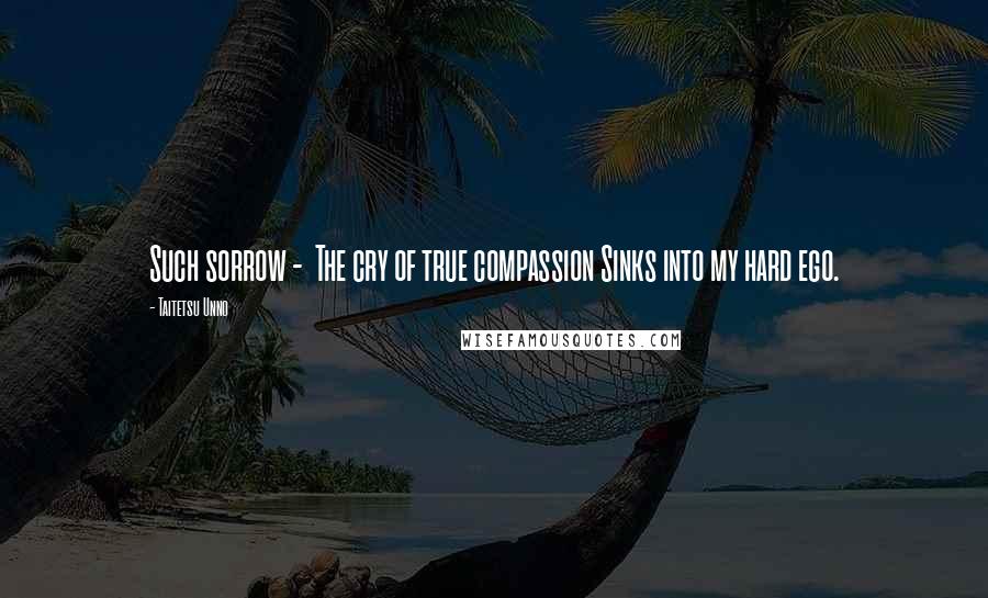 Taitetsu Unno Quotes: Such sorrow -  The cry of true compassion Sinks into my hard ego.