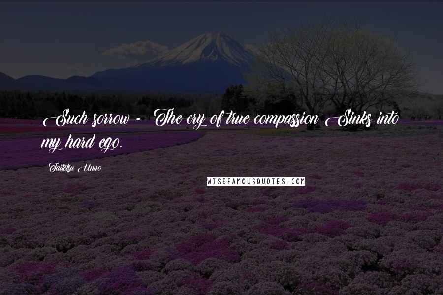 Taitetsu Unno Quotes: Such sorrow -  The cry of true compassion Sinks into my hard ego.