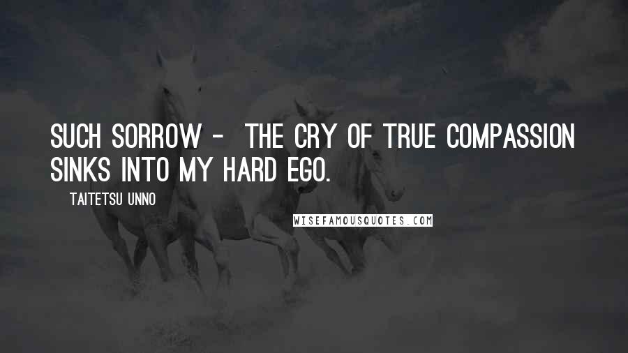 Taitetsu Unno Quotes: Such sorrow -  The cry of true compassion Sinks into my hard ego.