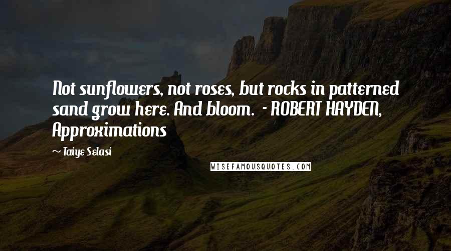 Taiye Selasi Quotes: Not sunflowers, not roses, but rocks in patterned sand grow here. And bloom. - ROBERT HAYDEN, Approximations