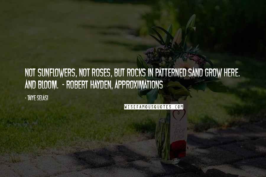 Taiye Selasi Quotes: Not sunflowers, not roses, but rocks in patterned sand grow here. And bloom. - ROBERT HAYDEN, Approximations