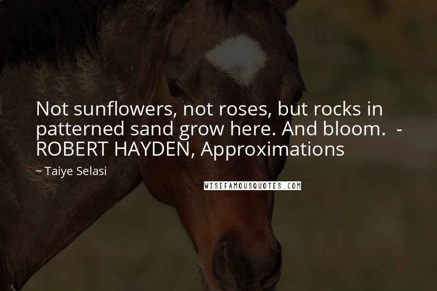 Taiye Selasi Quotes: Not sunflowers, not roses, but rocks in patterned sand grow here. And bloom. - ROBERT HAYDEN, Approximations