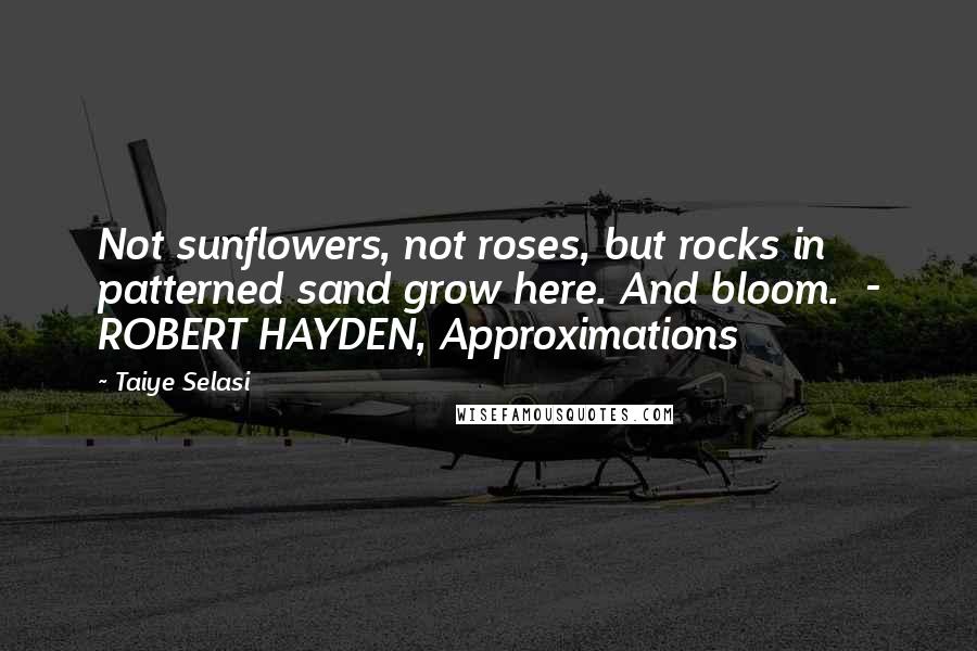 Taiye Selasi Quotes: Not sunflowers, not roses, but rocks in patterned sand grow here. And bloom. - ROBERT HAYDEN, Approximations