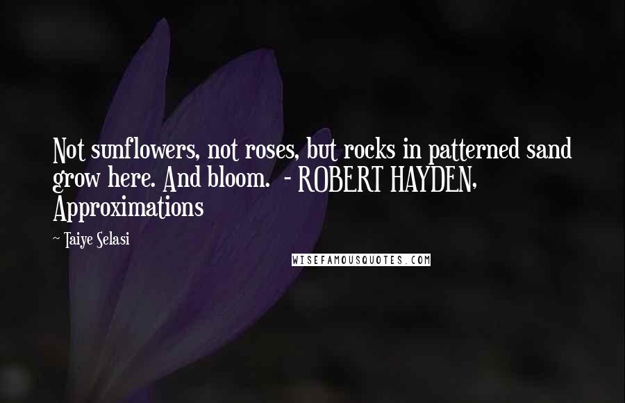 Taiye Selasi Quotes: Not sunflowers, not roses, but rocks in patterned sand grow here. And bloom. - ROBERT HAYDEN, Approximations