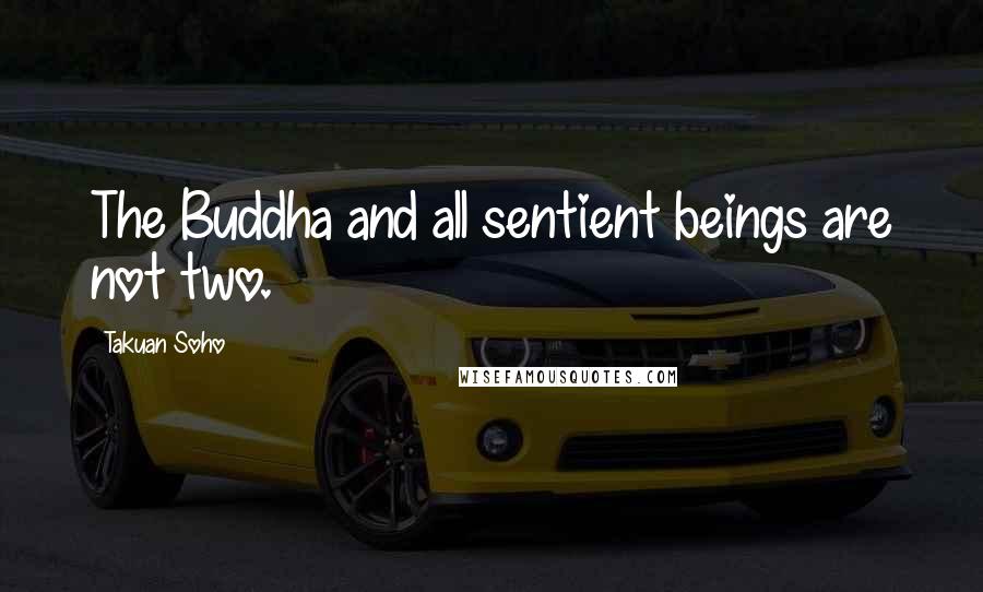 Takuan Soho Quotes: The Buddha and all sentient beings are not two.