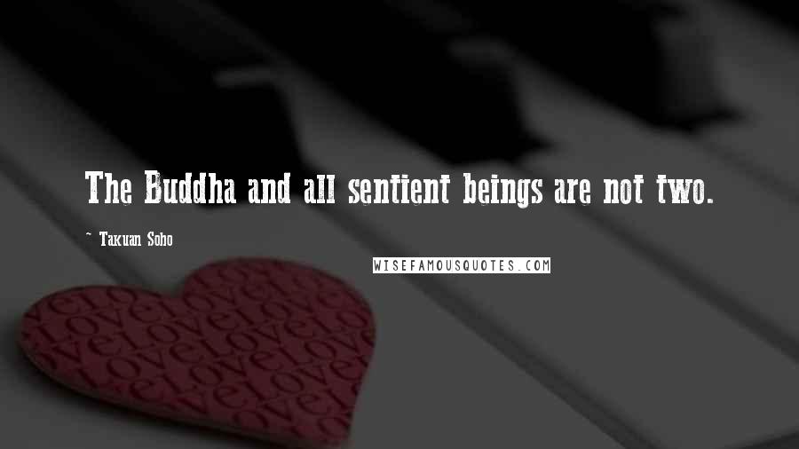 Takuan Soho Quotes: The Buddha and all sentient beings are not two.