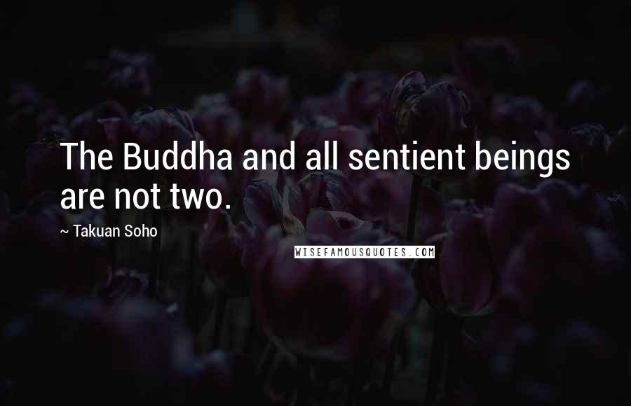 Takuan Soho Quotes: The Buddha and all sentient beings are not two.