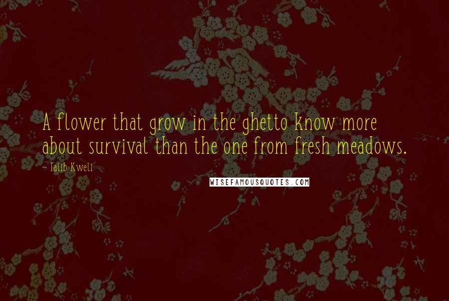 Talib Kweli Quotes: A flower that grow in the ghetto know more about survival than the one from fresh meadows.