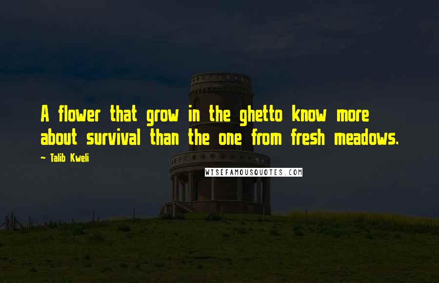 Talib Kweli Quotes: A flower that grow in the ghetto know more about survival than the one from fresh meadows.