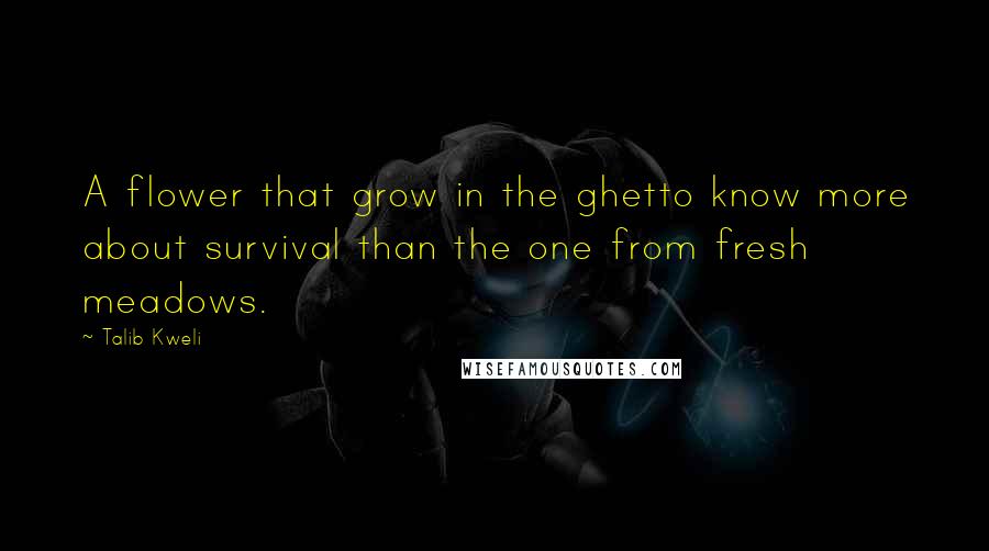 Talib Kweli Quotes: A flower that grow in the ghetto know more about survival than the one from fresh meadows.
