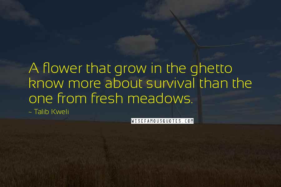 Talib Kweli Quotes: A flower that grow in the ghetto know more about survival than the one from fresh meadows.