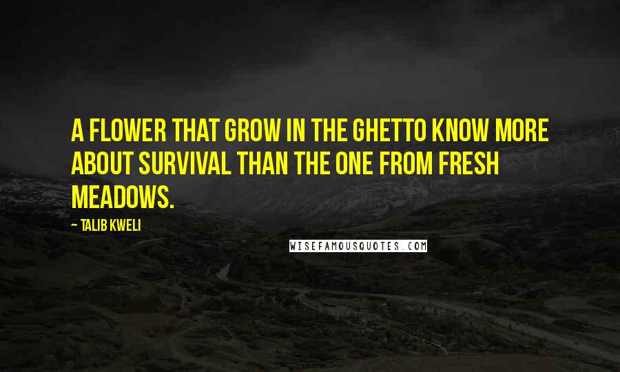 Talib Kweli Quotes: A flower that grow in the ghetto know more about survival than the one from fresh meadows.