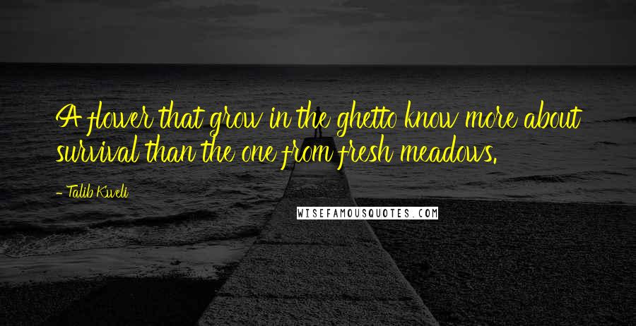 Talib Kweli Quotes: A flower that grow in the ghetto know more about survival than the one from fresh meadows.