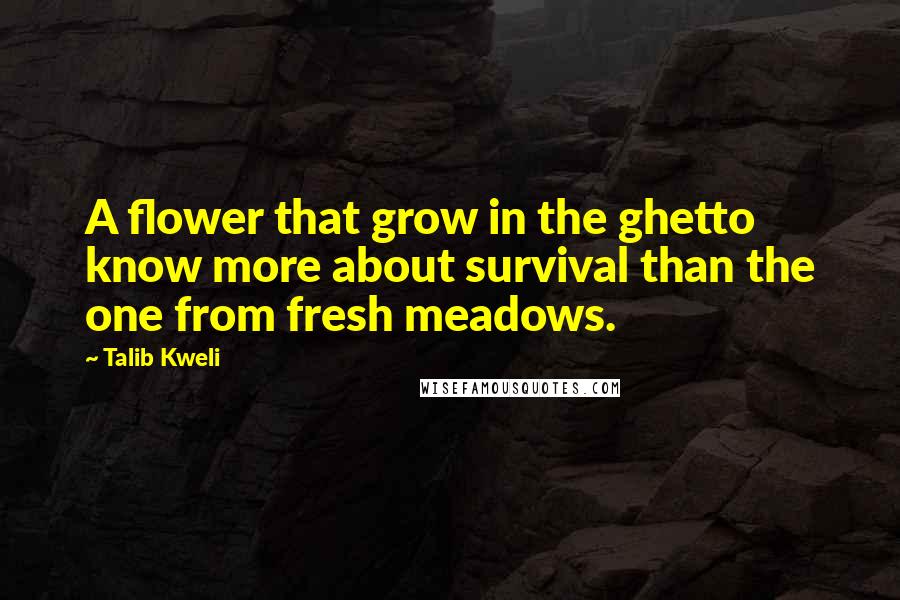 Talib Kweli Quotes: A flower that grow in the ghetto know more about survival than the one from fresh meadows.
