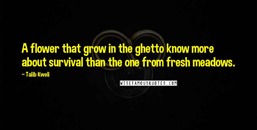 Talib Kweli Quotes: A flower that grow in the ghetto know more about survival than the one from fresh meadows.