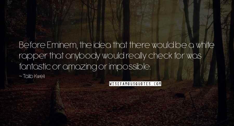 Talib Kweli Quotes: Before Eminem, the idea that there would be a white rapper that anybody would really check for was fantastic or amazing or impossible.