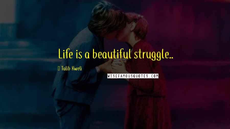 Talib Kweli Quotes: Life is a beautiful struggle..