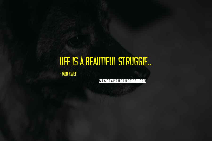 Talib Kweli Quotes: Life is a beautiful struggle..