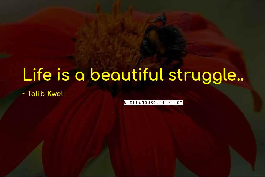 Talib Kweli Quotes: Life is a beautiful struggle..