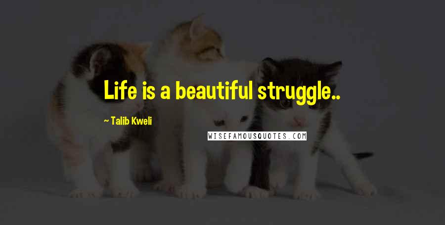 Talib Kweli Quotes: Life is a beautiful struggle..