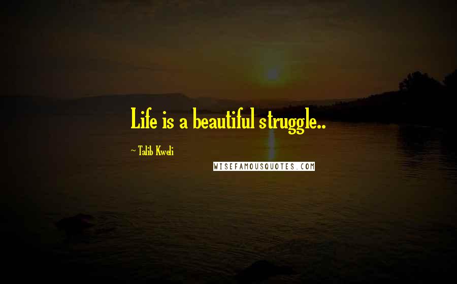 Talib Kweli Quotes: Life is a beautiful struggle..