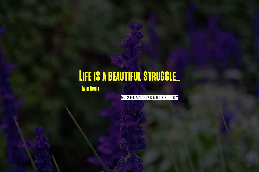 Talib Kweli Quotes: Life is a beautiful struggle..