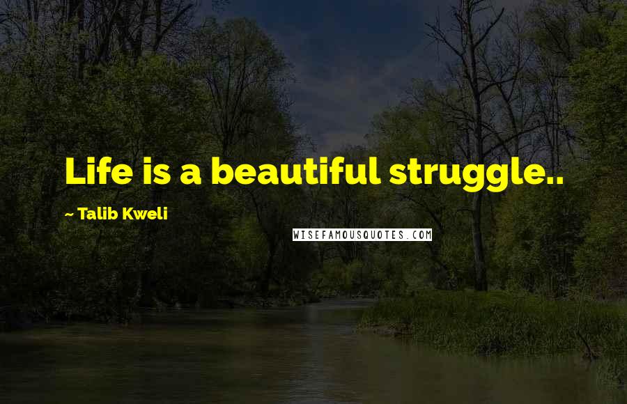 Talib Kweli Quotes: Life is a beautiful struggle..