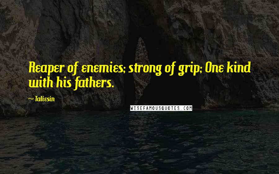 Taliesin Quotes: Reaper of enemies; strong of grip; One kind with his fathers.