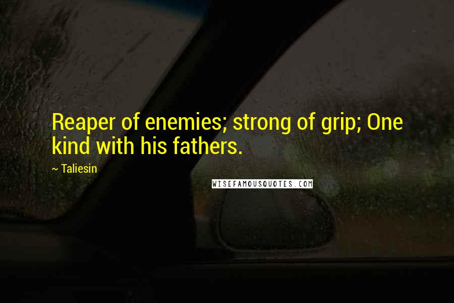 Taliesin Quotes: Reaper of enemies; strong of grip; One kind with his fathers.