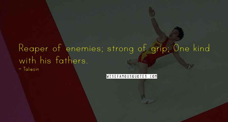 Taliesin Quotes: Reaper of enemies; strong of grip; One kind with his fathers.