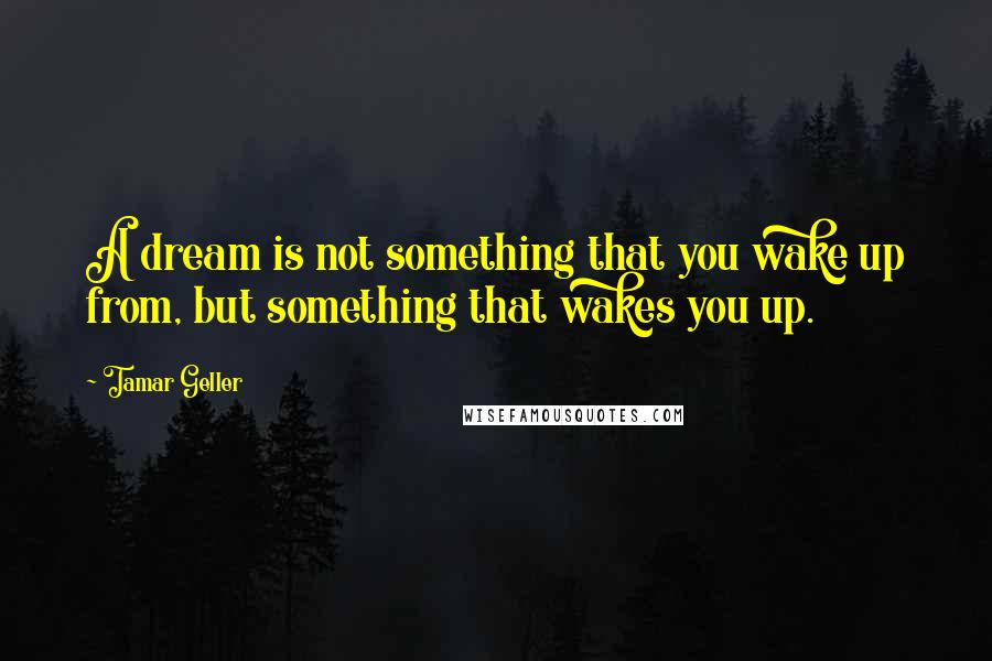 Tamar Geller Quotes: A dream is not something that you wake up from, but something that wakes you up.
