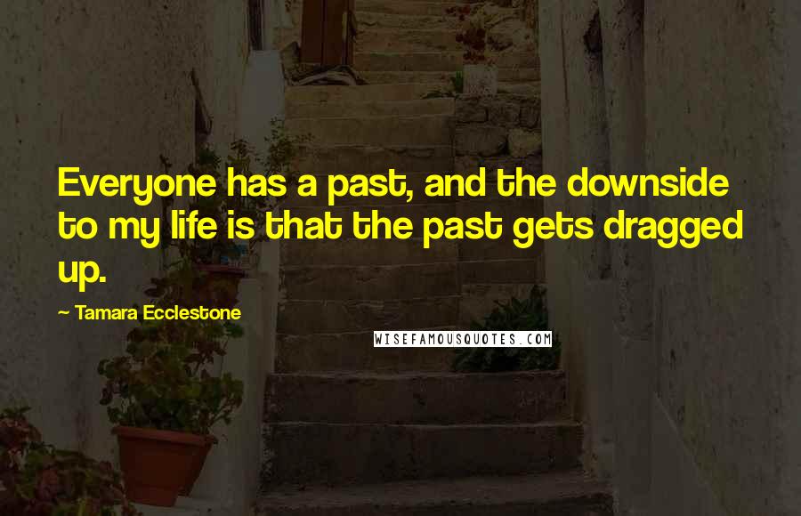 Tamara Ecclestone Quotes: Everyone has a past, and the downside to my life is that the past gets dragged up.